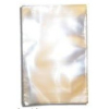 Poly-Prop Bags 135x200mm Reseal (500)