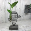 Hydroponic Home decor - Cactus and Lab Pot