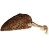 Volcanic Foot Stone - Traditional Shape