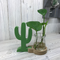 Hydroponic Home decor - Cactus Pot