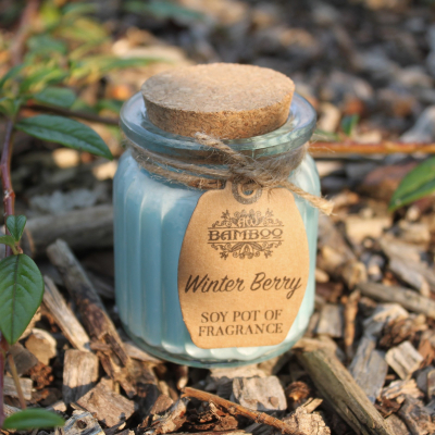 Winter Berry Soy Pot of Fragrance Candles