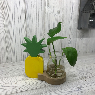 Hydroponic Home decor - Pineapple Pot