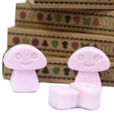 Box of 6 Wax Melts - Ylang Ylang