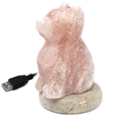 Usb Dog Shaped (Multi)