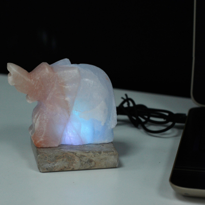 Usb Elephant Shaped (Multi)