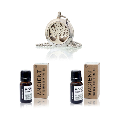 Diffuser Necklace and Essential Oil Blends Set
