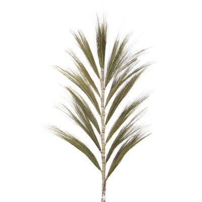 Rayung Grass Natural - 1.6m