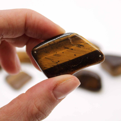Tumble Stones - Tiger Eye - Gold Large