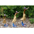Large British Bamboo Duck - 40cm