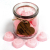 Soy wax Melts Jar - Japanese Magnolia