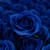 Craft Soap Flowers - Med Rose - Royal Blue