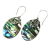 Shell and Silver Earrings - Abalone