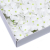 Craft Soap Flowers - Hyacinth Bean - White