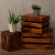 Fruit Box set of 3 - Brown