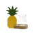 Hydroponic Home decor - Pineapple Pot