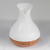 Palma Atomiser - Shell Effect - Usb - Colour Change - Timer