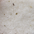 Himalayan Bath Salt Blend 500g - Clarity