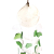 Copis and Glass Drop - Green and White Glass