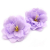 Craft Soap Flower - Small Peony - Purple