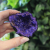 Coloured Calsite Geodes - Black Rock - Turqoise Purple