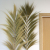 Rayung Grass Natural - 2m