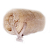 Loofah Scrub on Rope - 5 in.